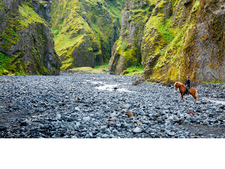 Riding with the Herd in Iceland 